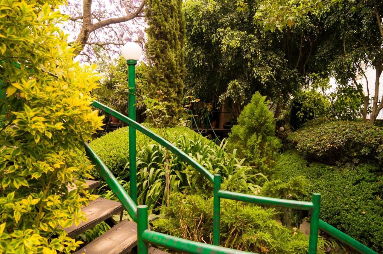 Suite 1-A Monasterio Garden House Welcome To San Angel México DF Exterior foto