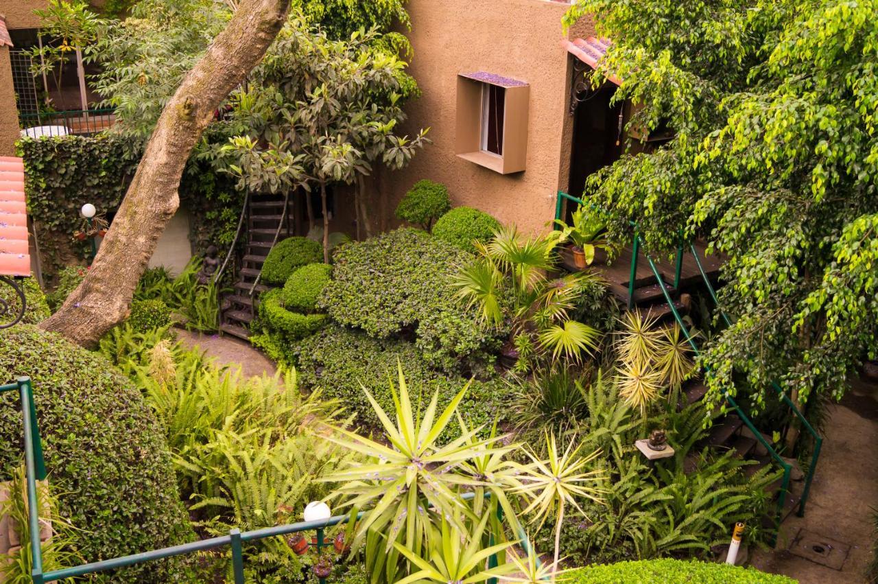 Suite 1-A Monasterio Garden House Welcome To San Angel México DF Exterior foto